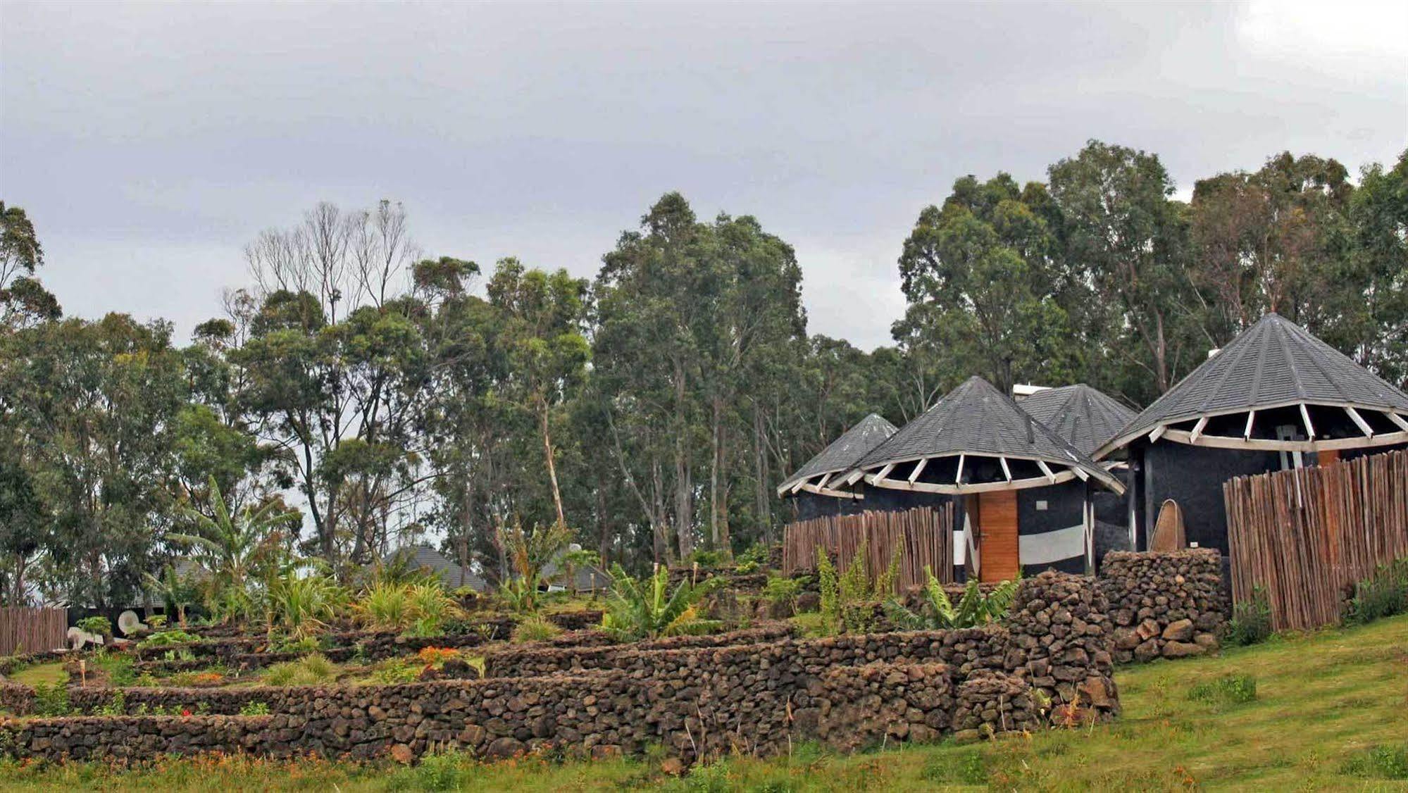 Hotel Altiplanico Isla De Pascua à Hanga Roa Extérieur photo